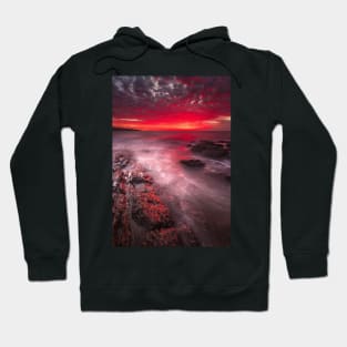 Stunning Hoodie